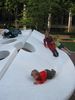 Filename=Picture_067.jpg
Filesize=884KB
Dimensions=1704x2272
Date added=Jun 27, 2007 Picture_067.jpg