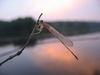 Filename=Picture_224.jpg
Filesize=544KB
Dimensions=2272x1704
Date added=Jul 07, 2008 Picture_224.jpg